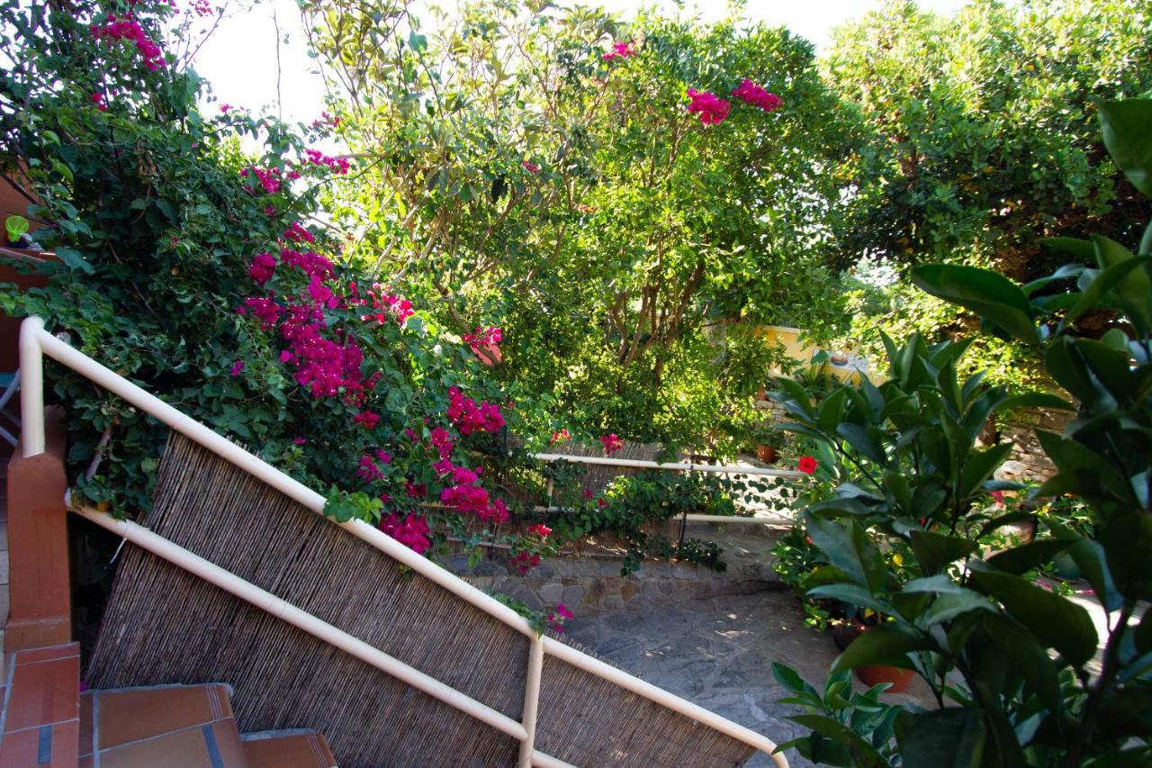 Apartamento Turisticos Trajano